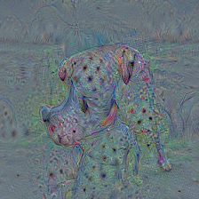 n02110185